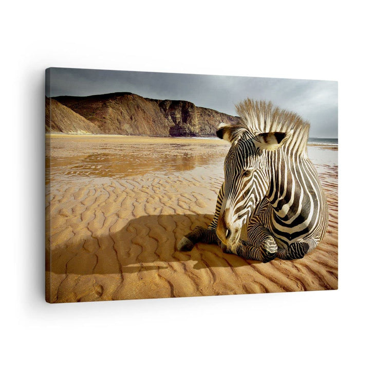 ARTTOR Bilder auf Leinwand Zebra Strand Landschaft Leinwandbild 70x50cm Wandbilder Dekoration Wohnzi