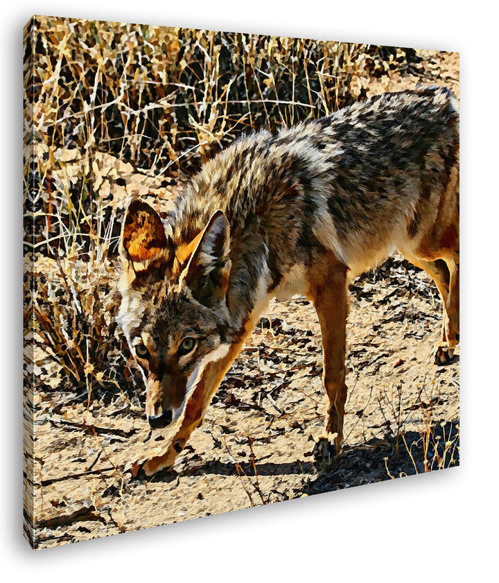 deyoli Fixierter Wolf in Wüstenlandschaft Format: 70x70 Effekt: Zeichnung als Leinwandbild, Motiv au