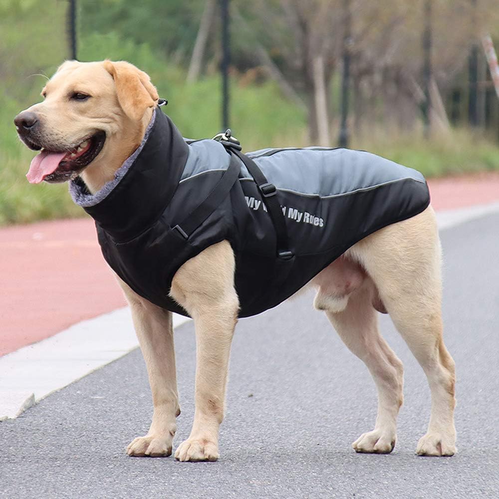 Idepet Hund Mantel Warme Jacke, Reflektierender Haustier-Schneeanzug Sport im Freien wasserdichte Hu