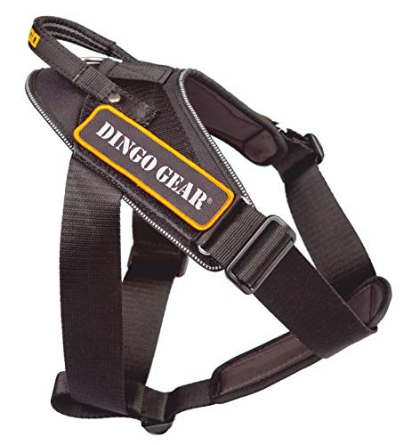 Dingo Gear Hundearbeitsgeschirr aus Stylonband Schwarz Grosse M Spaziergängen, Patrouillen sowie Tra
