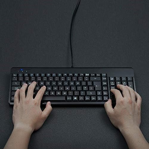 Perixx PERIBOARD-220H US-Tastatur, kabelgebunden, kompakte USB-Tastatur mit 2 Hubs, integriertes Zif