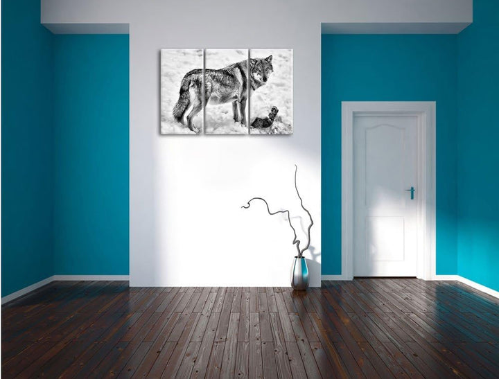 Pixxprint Monocrome, prächtiger Wolf im Schnee 3-Teiler Leinwandbild 120x80 Bild auf Leinwand
