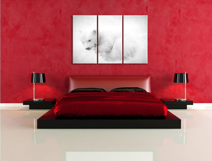 Pixxprint Eisbär im Schnee / 3-Teilig/Gesamtmass 120cm Leinwandbild bespannt auf Holzrahmen/Wandbild