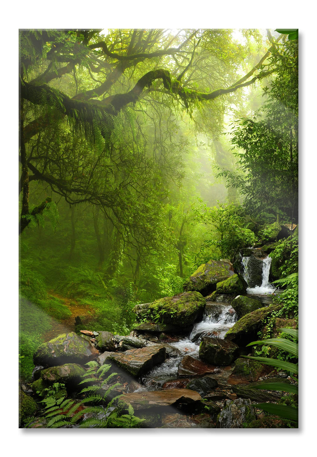 Pixxprint Glasbild | Wandbild aus Echtglas | Kleinder Wasserfall im Dschungel | 60x80 cm | inkl. Auf