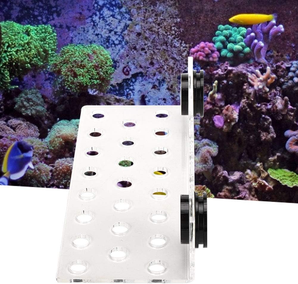Coral Frag Rack Acryl Aquarium Magnet Coral Frag Halter Aquarium Coral Frag Rack Halterung für Aquar