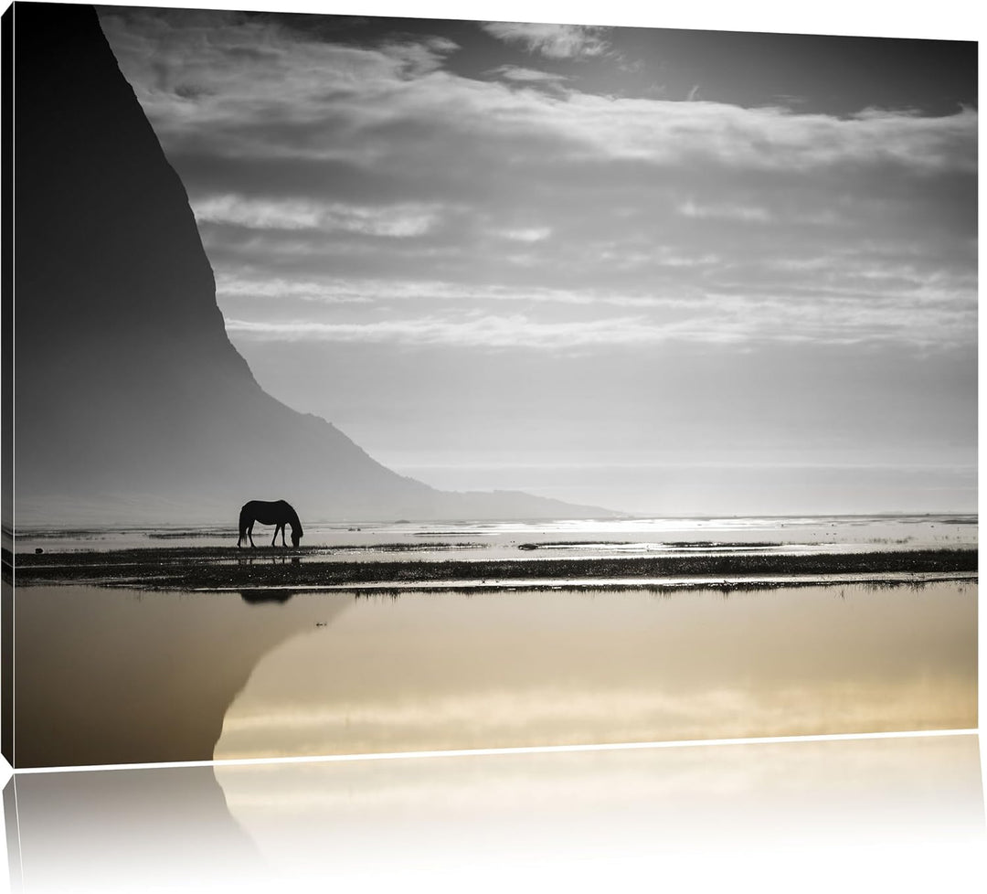 Pixxprint Pferd am Ufer Einer Insel als Leinwandbild | Grösse: 100x70 cm | Wandbild| Kunstdruck | fe