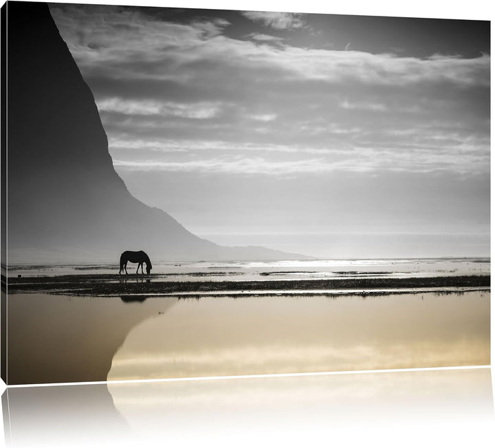 Pixxprint Pferd am Ufer Einer Insel als Leinwandbild | Grösse: 100x70 cm | Wandbild| Kunstdruck | fe
