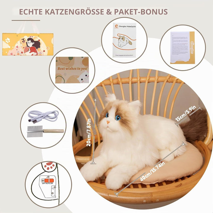 Chongker Interaktive Ragdoll Katze, Realistische Plüschkatze mit Miauen, Schnurren und Herzschlag, B