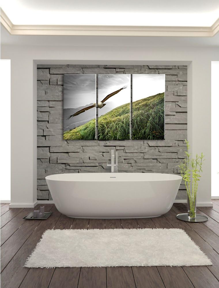 Pixxprint Majestätischer Weisskopfseeadler Schwarz/Weiss 3-Teiler Leinwandbild 120x80 Bild auf Leinw