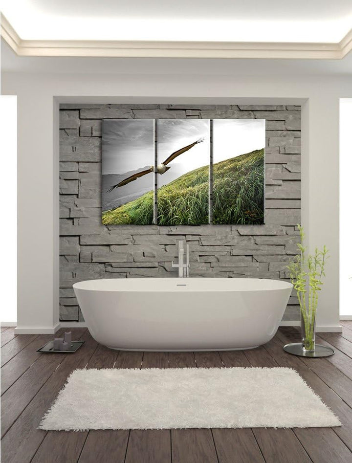 Pixxprint Majestätischer Weisskopfseeadler Schwarz/Weiss 3-Teiler Leinwandbild 120x80 Bild auf Leinw