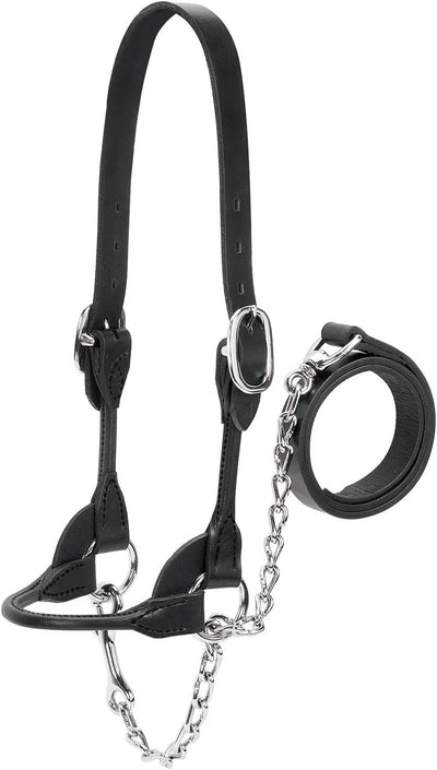 Weaver Leather Halfter für Milchprodukte/Rindfleisch XS Schwarz, XS Schwarz