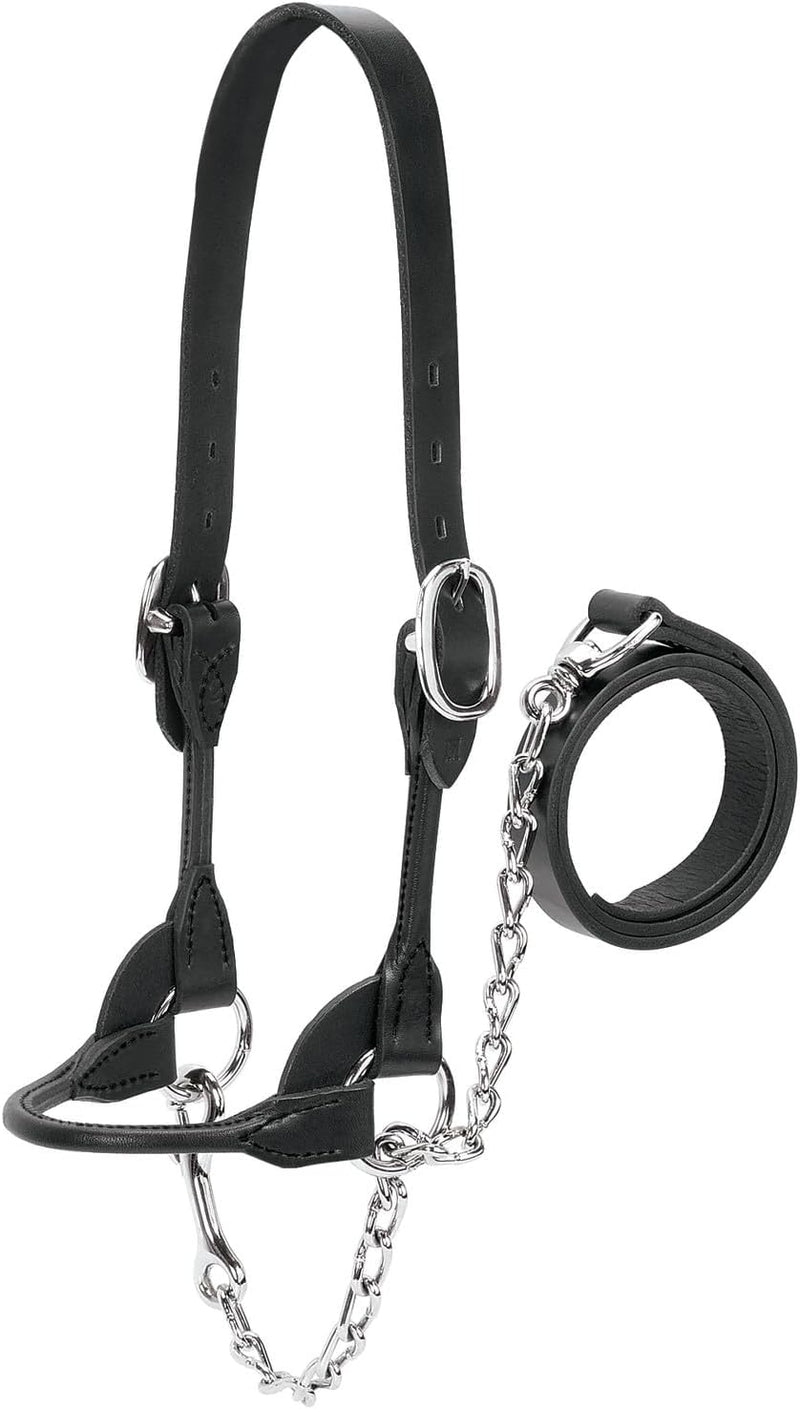 Weaver Leather Halfter für Milchprodukte/Rindfleisch XS Schwarz, XS Schwarz