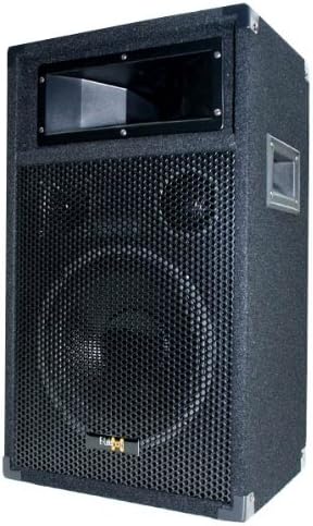 E-Lektron 500W DJ Party Lautsprecher Box - 25cm / 10" Bass PW25