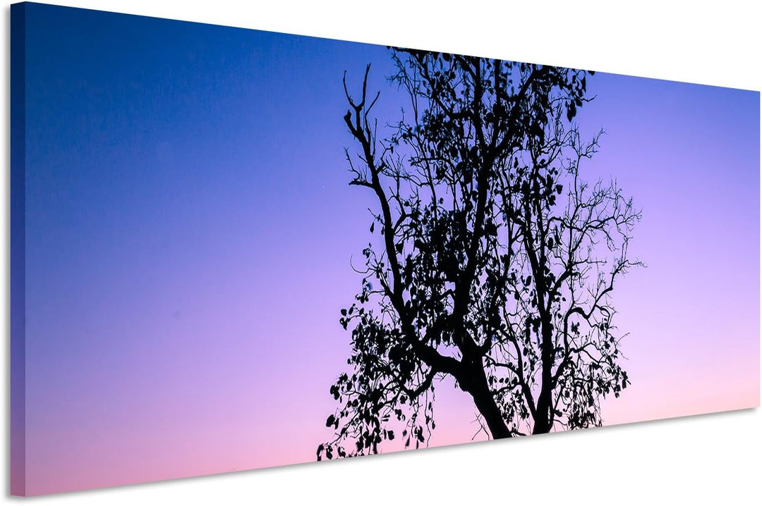 Sinus Art Wandbild 150x50cm Landschaftsfotografie – Baum vor Abendhimmel, Thailand auf Leinwand für