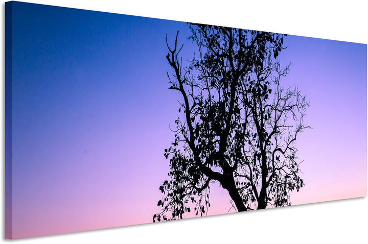 Sinus Art Wandbild 150x50cm Landschaftsfotografie – Baum vor Abendhimmel, Thailand auf Leinwand für