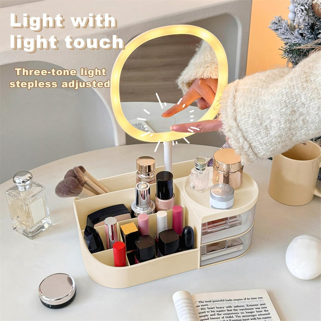 DASITON Make up Organizer mit Spiegel,Make up Pinselhalter mit 2 Schubladen,Multifunktionale Makeup