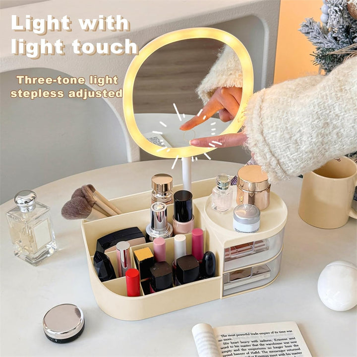 DASITON Make up Organizer mit Spiegel,Make up Pinselhalter mit 2 Schubladen,Multifunktionale Makeup