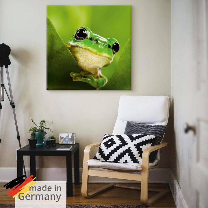 ARTland Leinwandbilder Wandbild Bild auf Leinwand 50x50 cm Frosch Tiere Pflanze Natur Süss Lustig T5