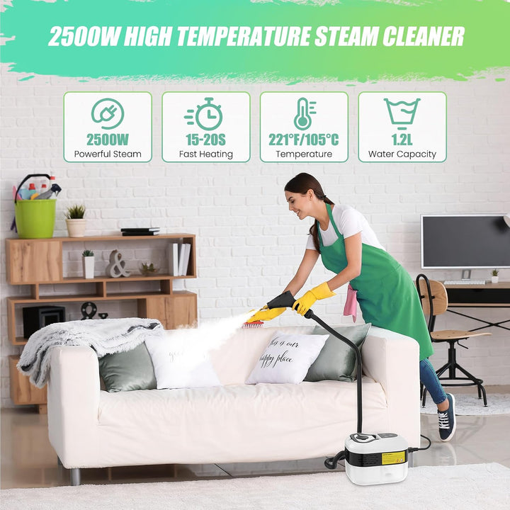 2500W Dampfreiniger Handgerät, 4.5 Bar Dampfreiniger für Alles, Tragbarer Steam Cleaner, 6 Einstellb
