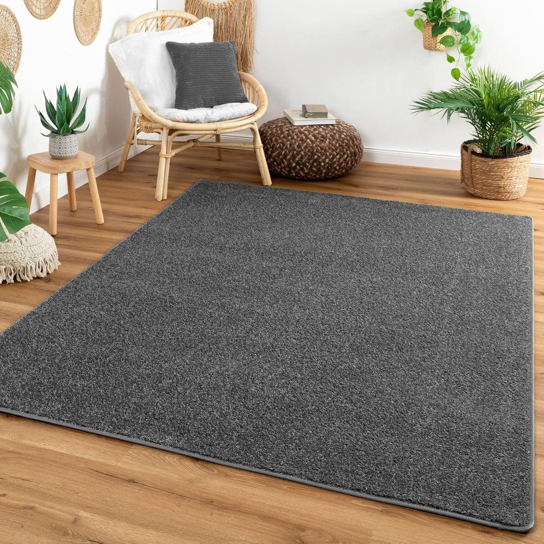 Kurzflor Teppich Cambridge, Wohnzimmer, Schlafzimmer, in Anthrazit, Grösse: 80x150 cm, 80 x 150 cm (