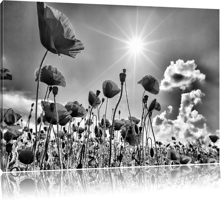 Monocrome, Mohnblumen, Format: 100x70 auf Leinwand, XXL riesige Bilder fertig gerahmt mit Keilrahmen