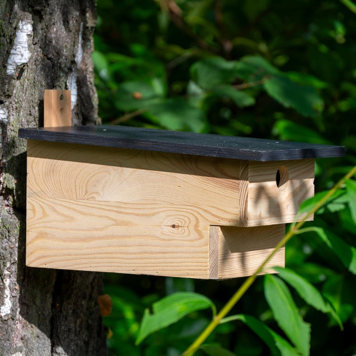 dobar® Grosser Nistkasten für Höhlenbrüter mit Räuberschutz -Vogelbrutkasten für Meisen und Sperling