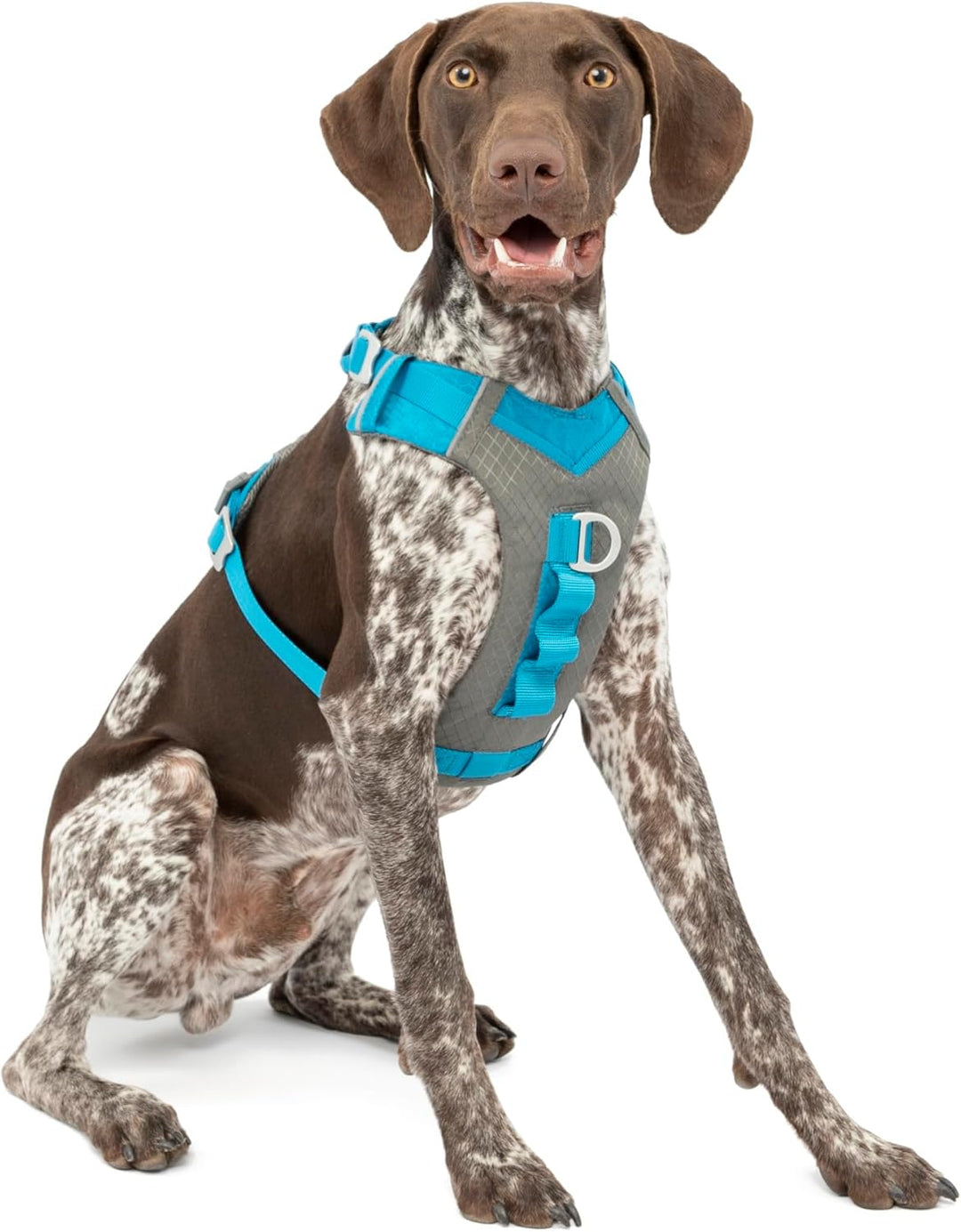 Kurgo Journey Air Hundegeschirr, Mit gepolstertem Brustteil und Rückgriff, Für Hunde von 11-23 kg, G