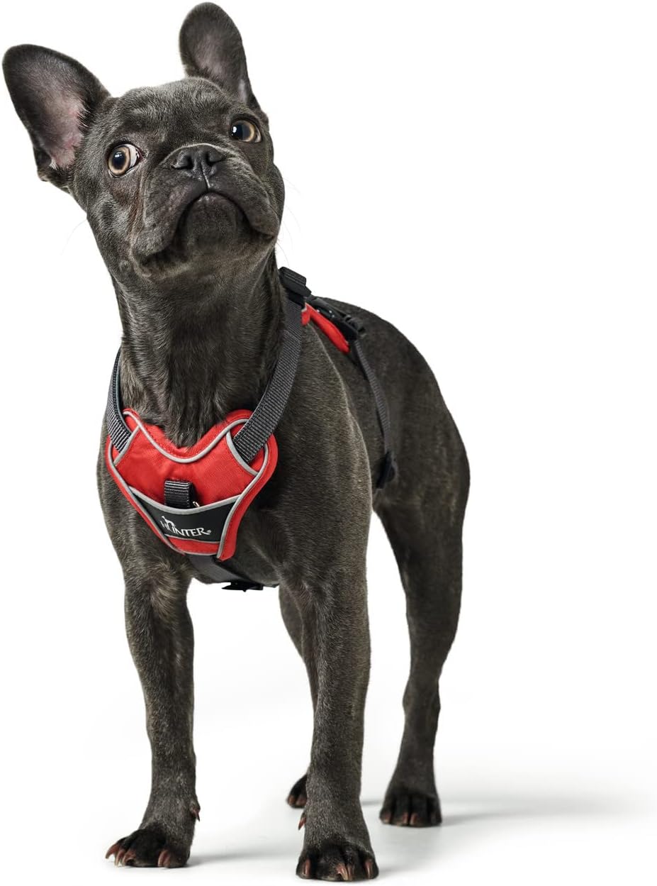 Hunter DIVO Hundegeschirr, L-XL, 79-107 cm, rot/grau 79 - 107 cm rot/grau, 79 - 107 cm rot/grau