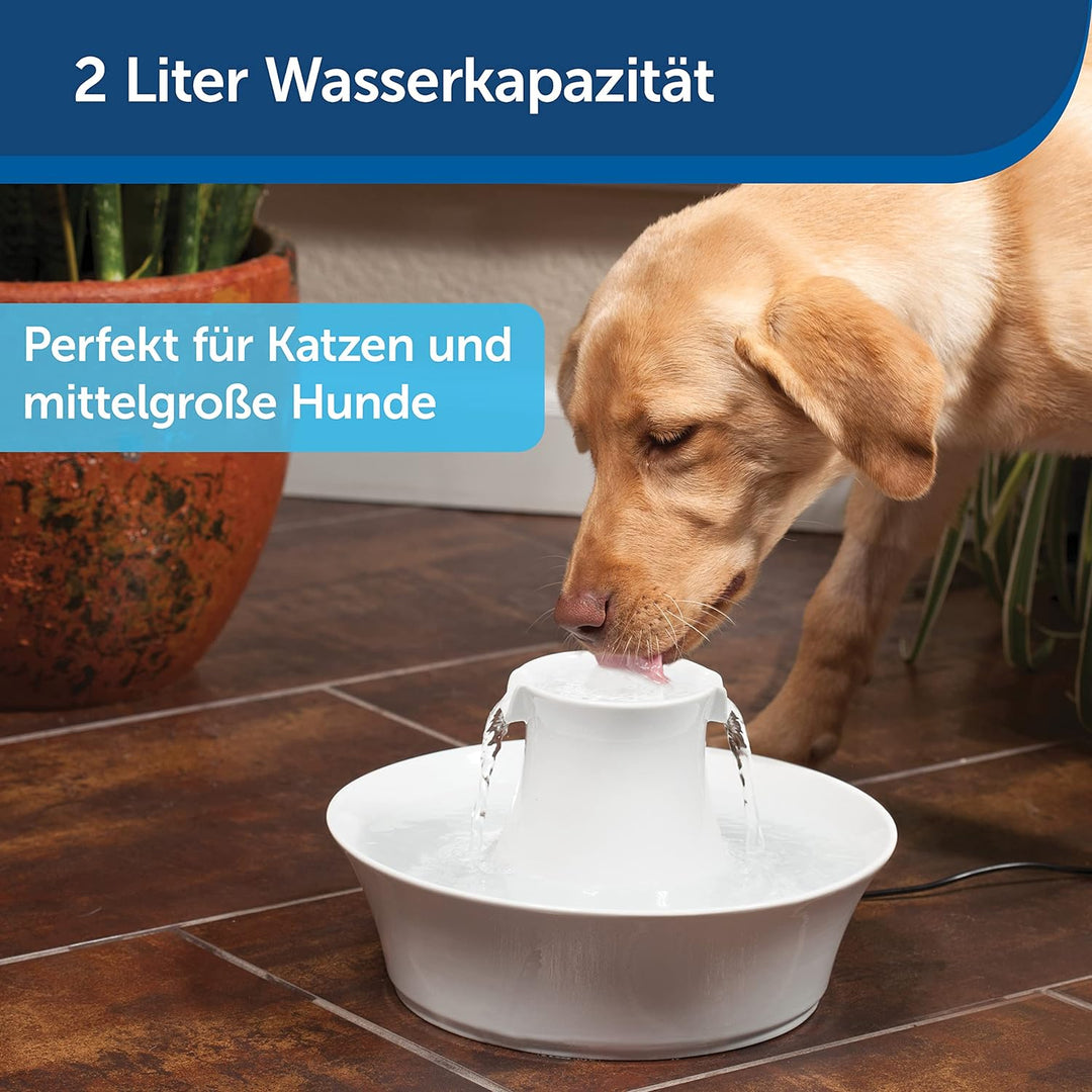 PetSafe Drinkwell Keramik-Trinkbrunnen Avalon, Gefiltertes Trinkwasser für Hunde und Katzen, 2 L Was