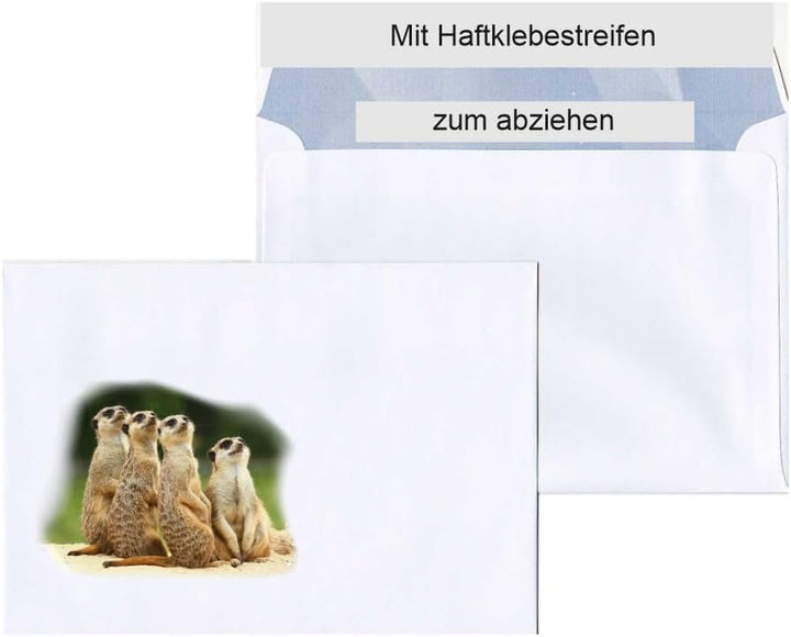 Geburtstagseinladung für jedes Alter - eigener Text wird eingedruckt. Motiv Erdmännchen wir sehen wo