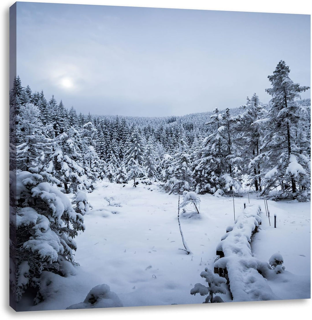 Pixxprint Winterlandschaft vereister See/Format: 70x70cm / Leinwandbild fertig bespannt Wandbild Kun