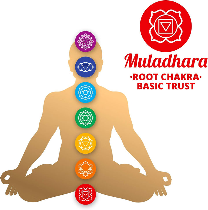 XDrum Therapeutische Klangschale Ton C gross Komplett Set - auf Ton C gestimmt - für Wurzel-Chakra (