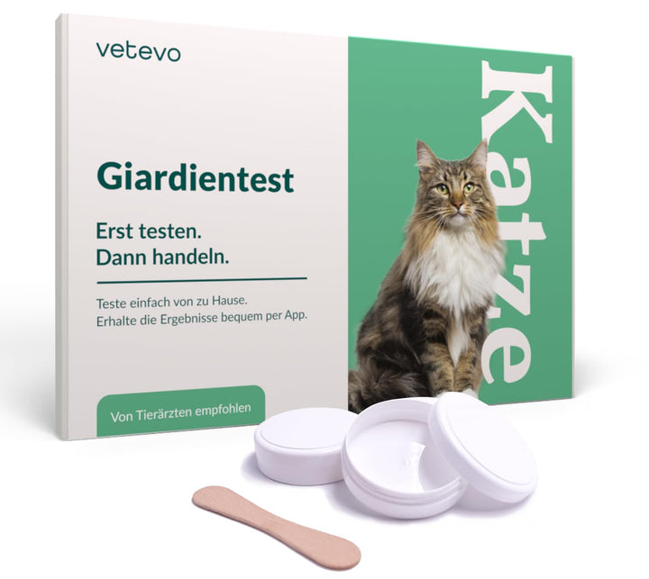 vetevo Giardientest Katze, Test auf Giardien Katze, bei Durchfall, Gewichtsverlust, Erbrechen & Appe