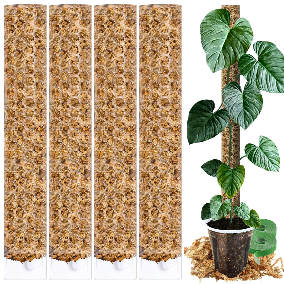 XL Moosstab für Monstera 4 Stück 63 x 9.5 cm - Erweiterbare Rankhilfe & Zubehör-Set - Pflanzstäbe mi