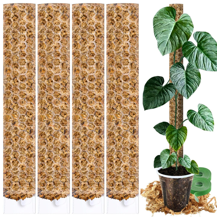 XL Moosstab für Monstera 4 Stück 63 x 9.5 cm - Erweiterbare Rankhilfe & Zubehör-Set - Pflanzstäbe mi