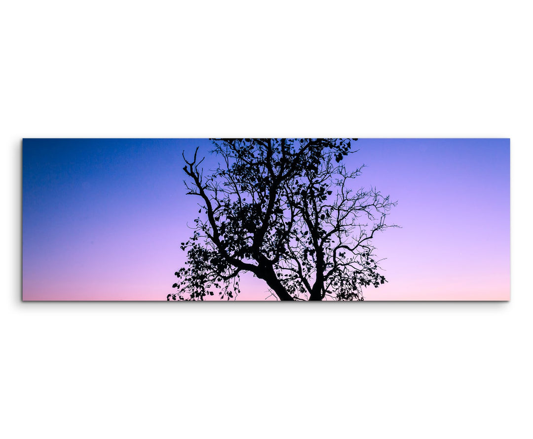Sinus Art Wandbild 150x50cm Landschaftsfotografie – Baum vor Abendhimmel, Thailand auf Leinwand für