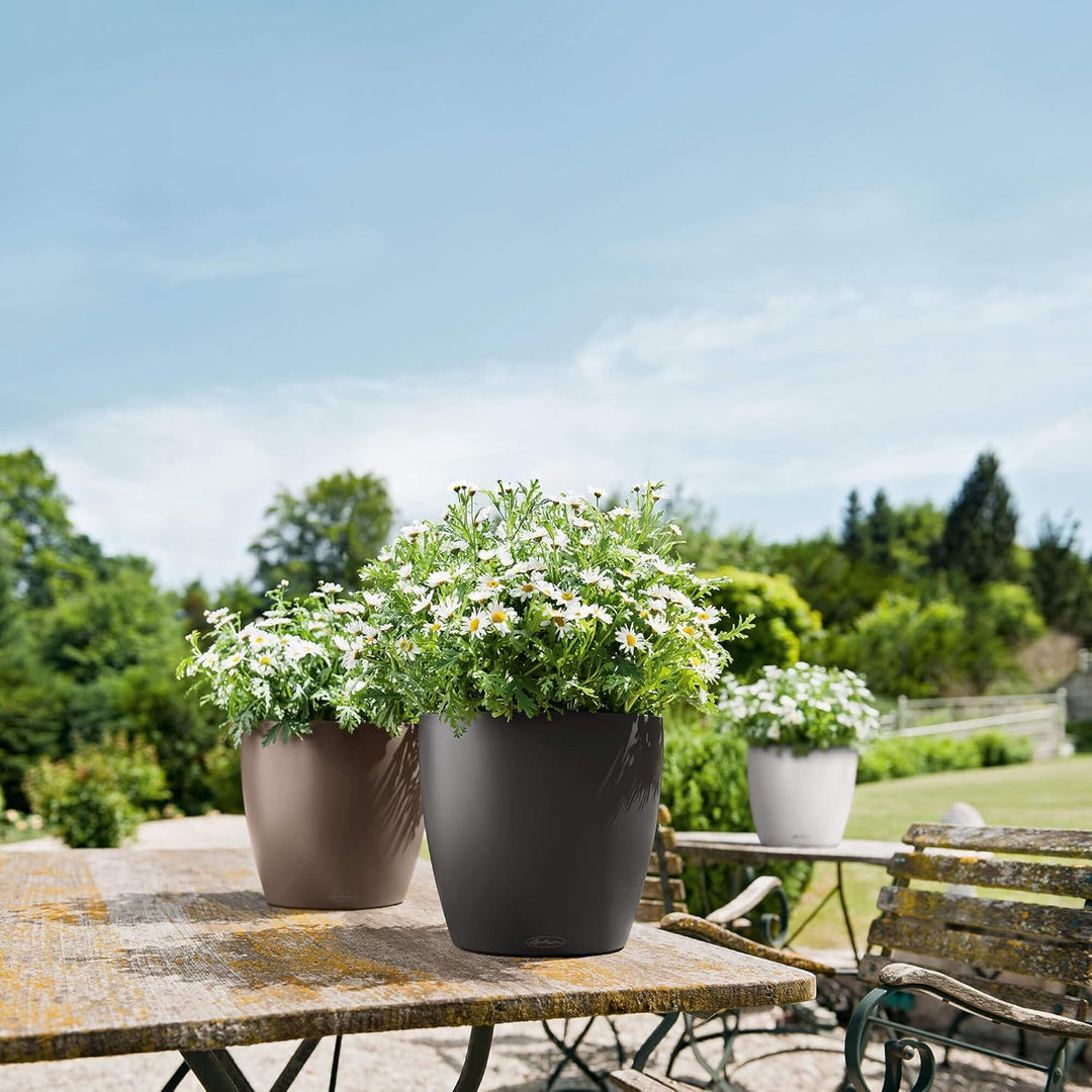 Lechuza 13203 Planter, Muskat, 28.5 x 28.5 x 26 cm 28.5x28.5x26 cm Muskat, 28.5x28.5x26 cm Muskat