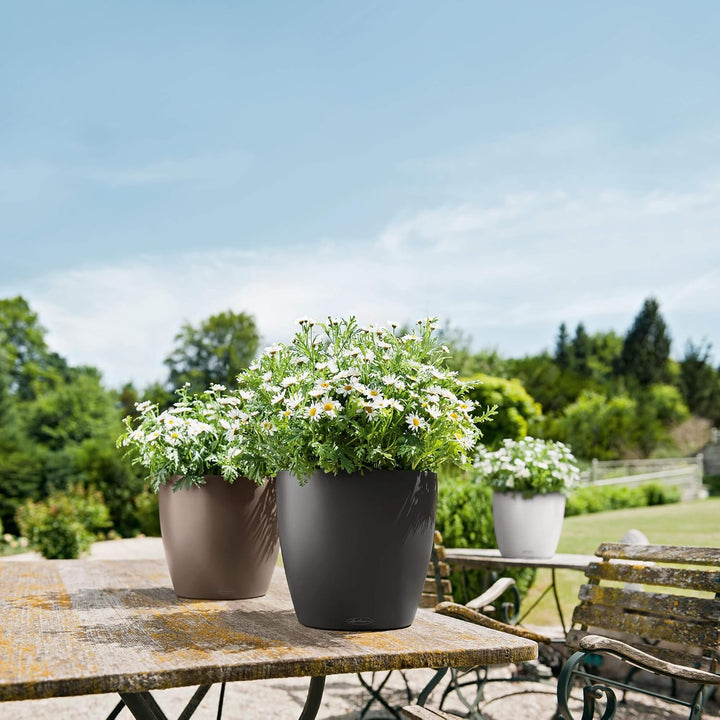 Lechuza 13203 Planter, Muskat, 28.5 x 28.5 x 26 cm 28.5x28.5x26 cm Muskat, 28.5x28.5x26 cm Muskat