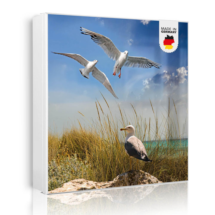 banjado Grosser Schlüsselkasten Glas - Schlüsselbox 30x30cm mit 50 Haken - Schlüsselkasten modern fü