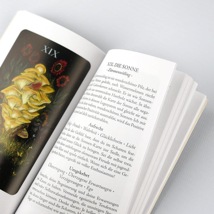 Mitternachtsmagie der Pilze: Das Tarotdeck des Waldes. Entdecke die geheimnisvolle Welt der Pilze in