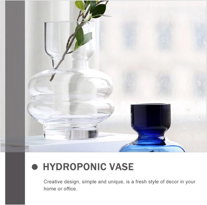 Glasvase Trockenblumenvase Hydrokulturvase Aus Glas Hahnenfussschlüssel Pflanzgefäss Aus Glas Einfac