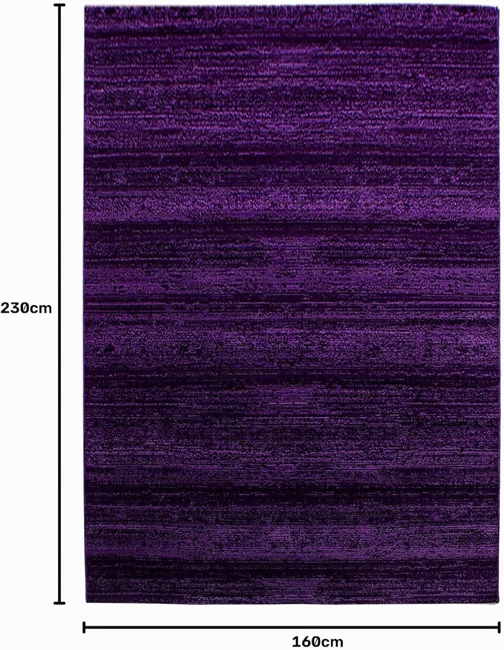 Carpetsale24 Teppich Wohnzimmer Unicolor - Einfarbig Lila Meliert 160 x 230 cm - Kurzflor Teppich Sc