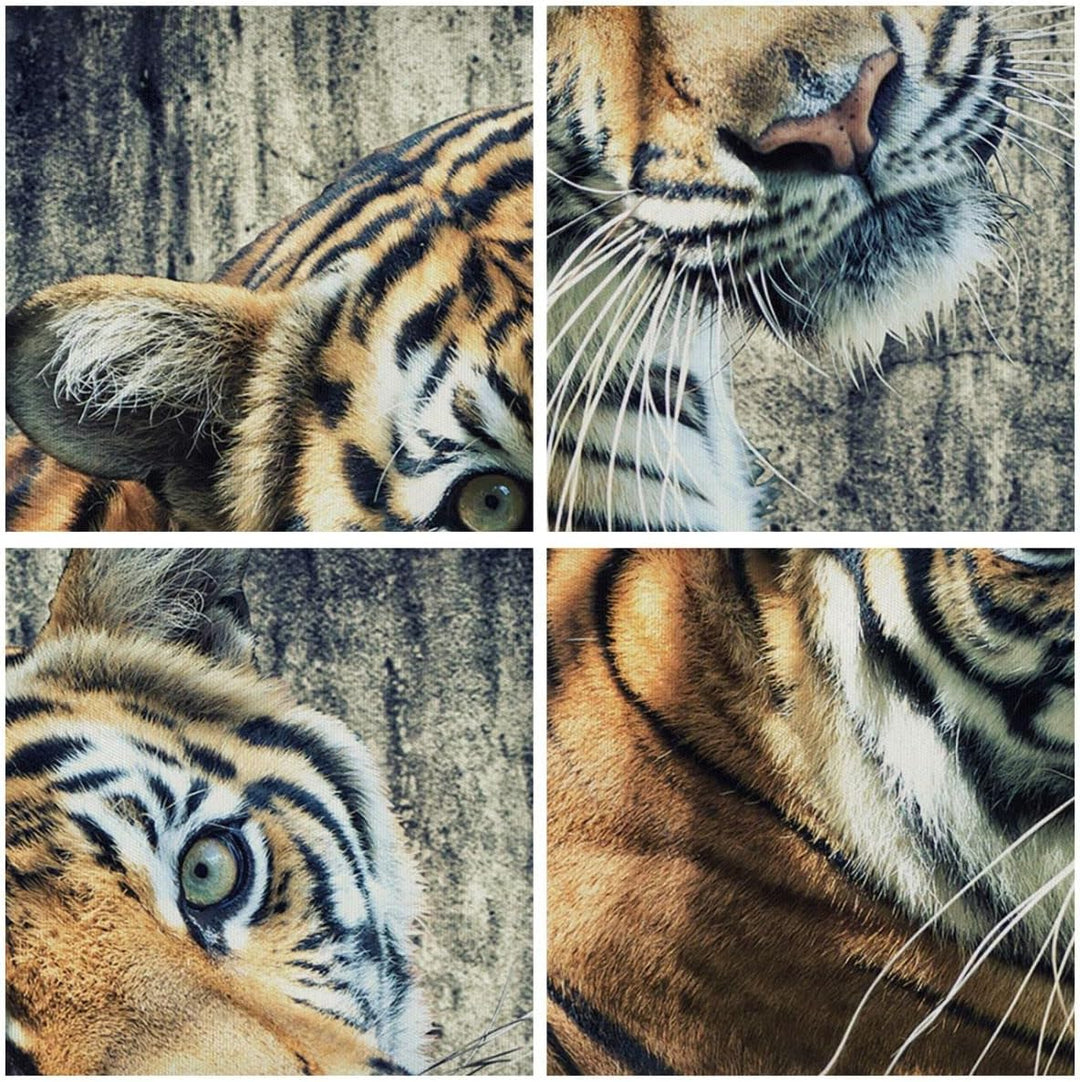 ARTTOR Bilder auf Leinwand Indien stein tiger wild Leinwandbild 70x50cm Wandbilder Dekoration Wohnzi
