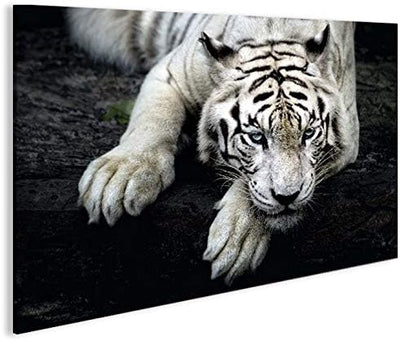 islandburner Bild Bilder auf Leinwand Bengalischer Tiger V2 1p XXL Poster Leinwandbild Wandbild Deko