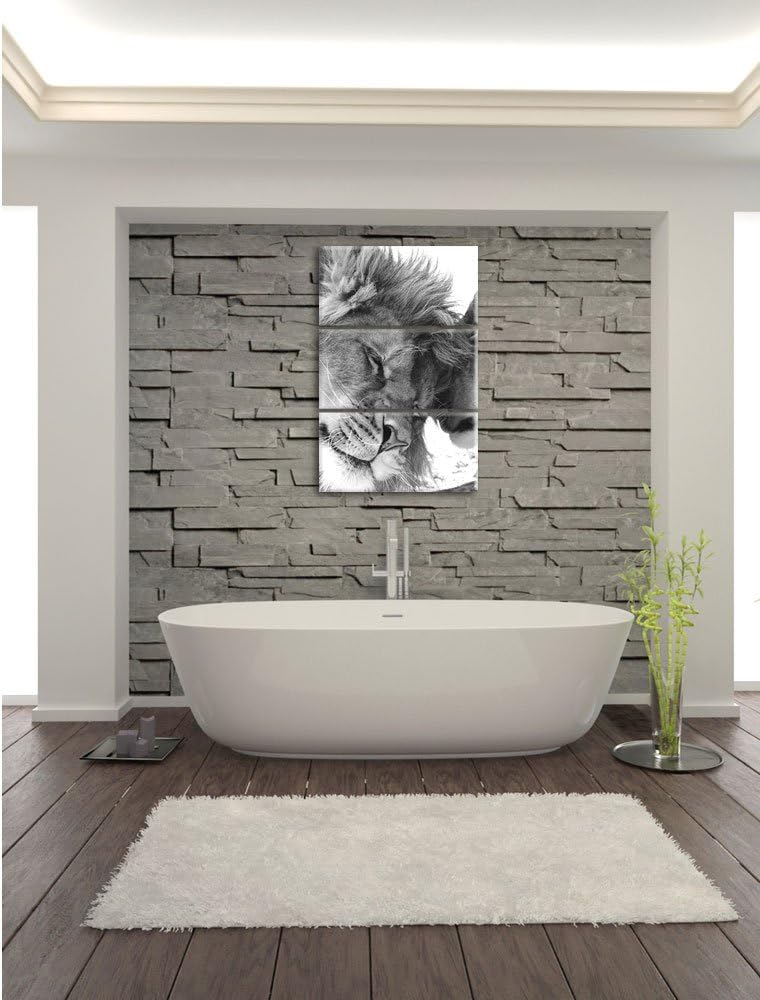 Pixxprint Bezauberndes kuschelndes Löwenpaar als Leinwandbild/Grösse: 3 Teilig (120x80) cm/Wandbild/