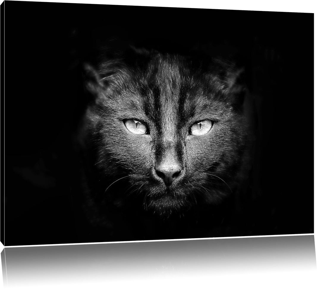 Pixxprint Dark schwarzes Katzengesicht als Leinwandbild/Grösse: 100x70 cm/Wandbild/Kunstdruck/fertig