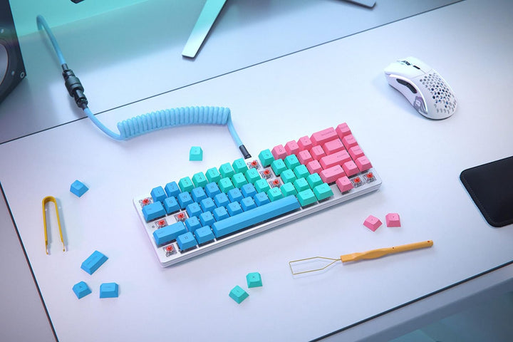 Glorious Gaming GMMK 2 Compact 65% Barebones (Frame Only) – Mechanisches Gaming-Tastaturgrundgerüst,