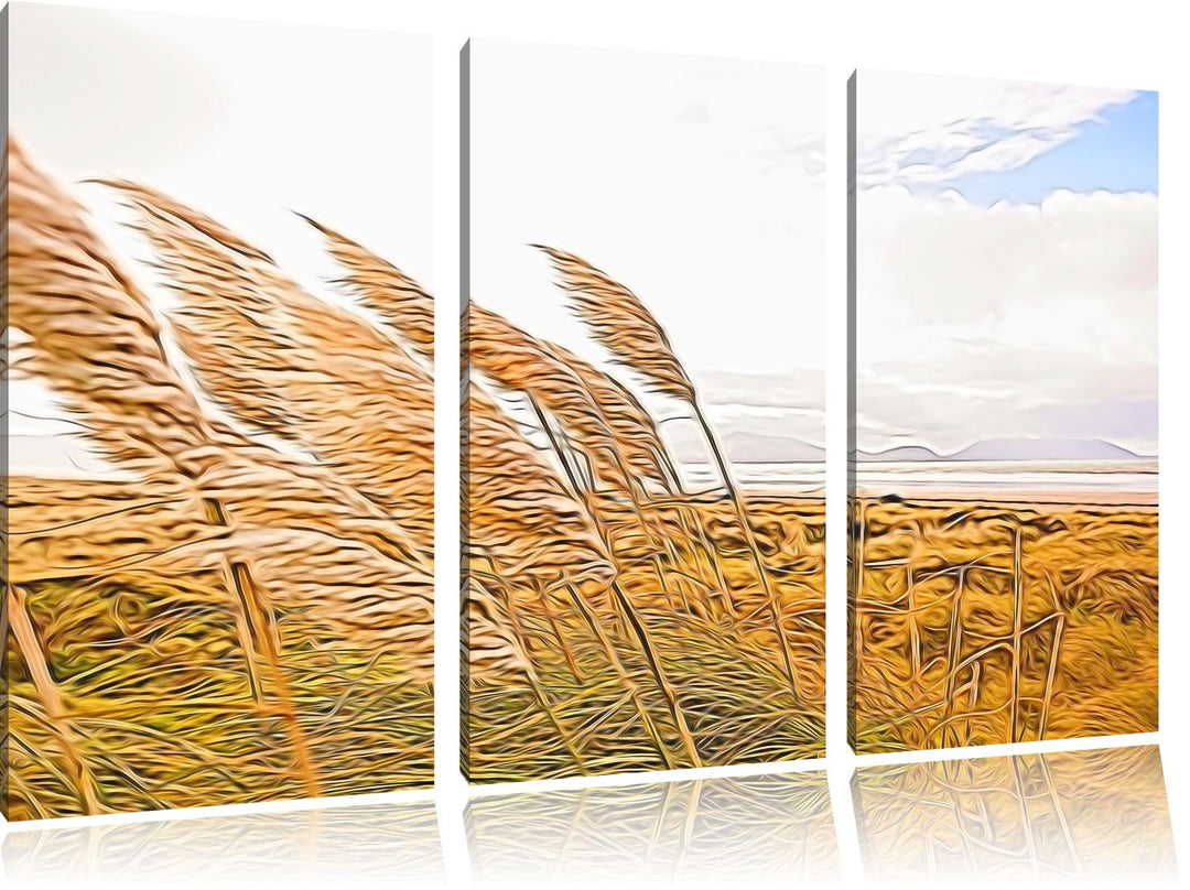 Schönes Schilf in den Dünen Spezial 3-Teiler Leinwandbild 120x80 Bild auf Leinwand, XXL riesige Bild