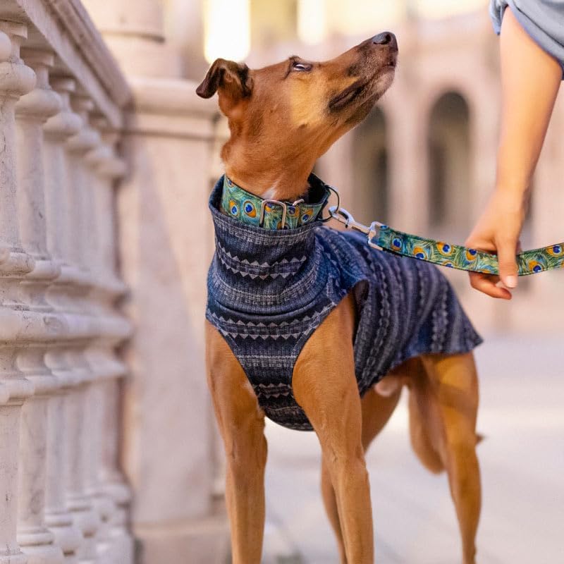 Windhund-Wollpullover - Stil, Wärme und Komfort - Elegantes Design und Passform Schutz vor Kälte - I