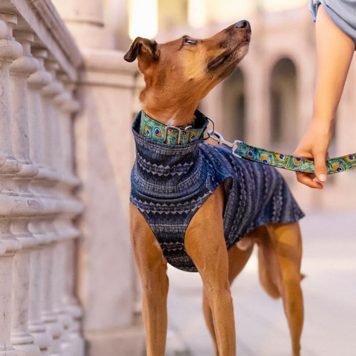 Windhund-Wollpullover - Stil, Wärme und Komfort - Elegantes Design und Passform Schutz vor Kälte - I